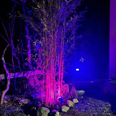 Pia's Nature Retreat * Neukirch (Tubingen)