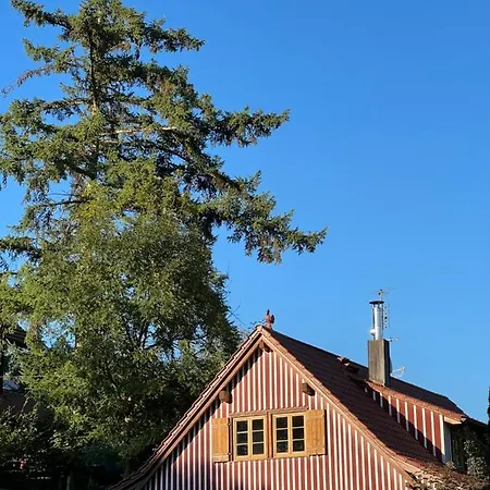 Pia's Nature Retreat Neukirch (Tubingen)