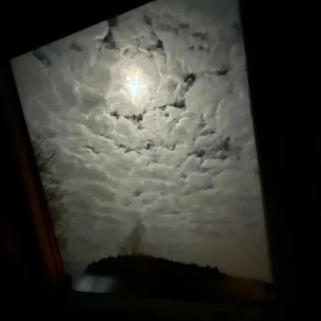 Pia's Nature Retreat * Neukirch (Tubingen)