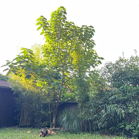 Pia's Nature Retreat * Neukirch (Tubingen)