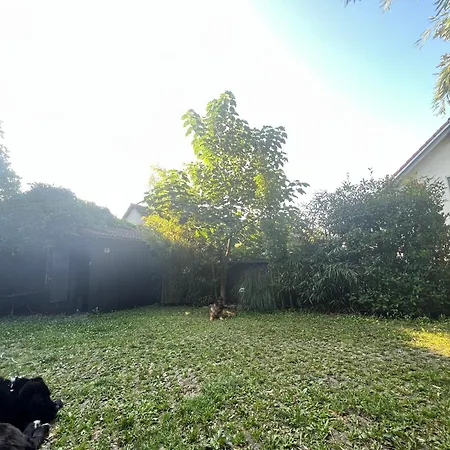 Pia's Nature Retreat Διαμέρισμα Neukirch (Tubingen)