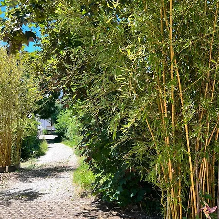 Pia's Nature Retreat Appartement Neukirch (Tubingen)