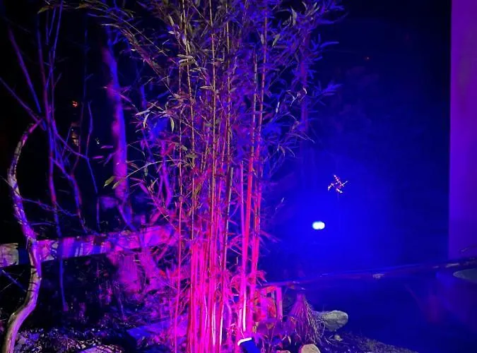 Pia's Nature Retreat * Neukirch (Tubingen)