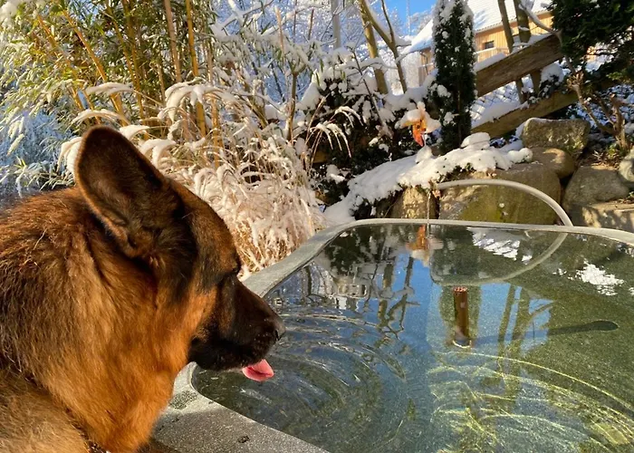 Pia's Nature Retreat