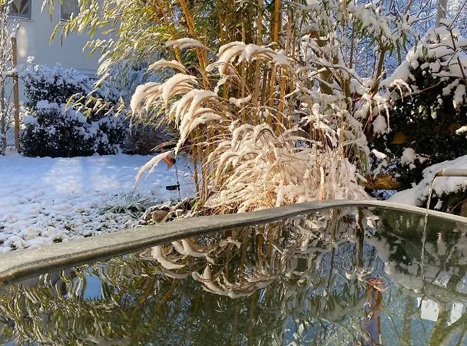 Pia's Nature Retreat Appartamento *