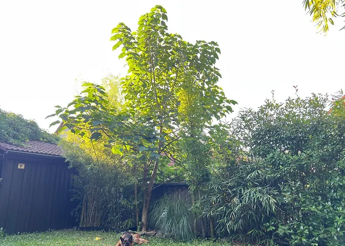 Pia's Nature Retreat * Neukirch (Tubingen)