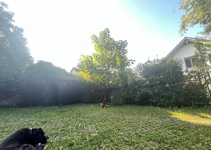 Pia's Nature Retreat Appartamento Neukirch (Tubingen)